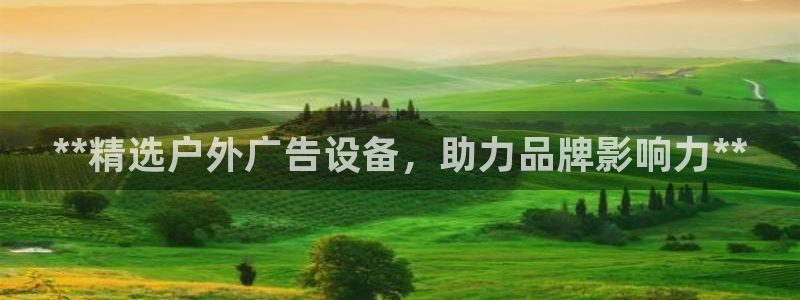杏宇平台登录步骤图：**精选户外广告设备，助力品牌影响力**