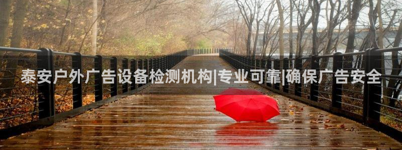 杏宇平台代理怎么赚钱：泰安户外广告设备检测机构|专业可靠|确保广告安全