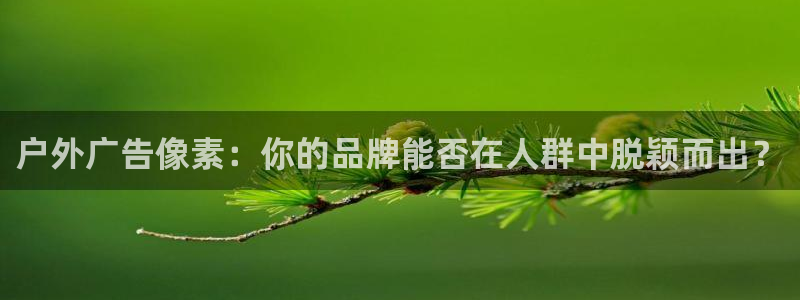 杏宇平台代理怎么样可靠吗