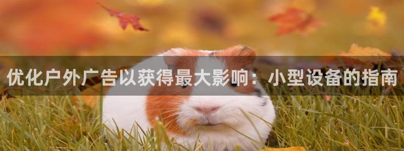 杏宇代理注册：优化户外广告以获得最大影响：小型设备的指南