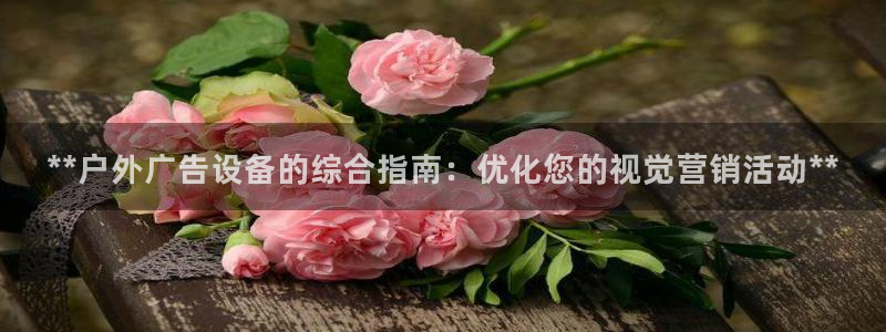 杏宇平台登陆：**户外广告设备的综合指南：优化您的视觉营销活动**