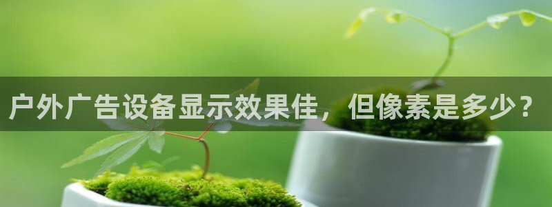 杏宇官方平台官网