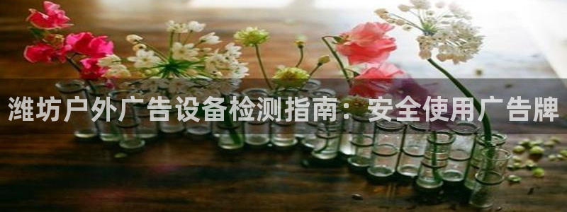 杏宇平台登录步骤图