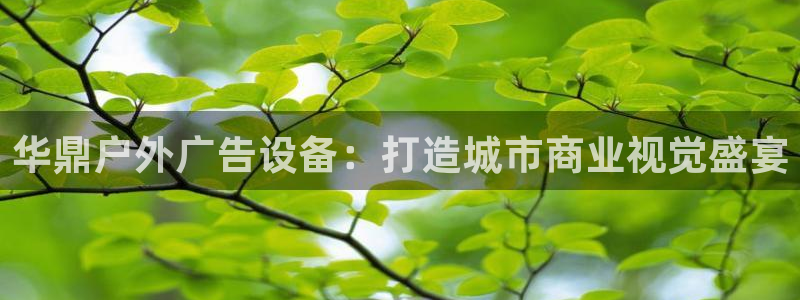 杏宇平台招商怎么样