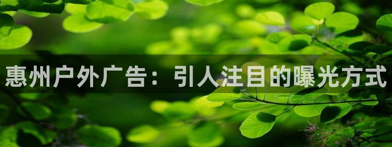 杏宇官方平台官网：惠州户外广告：引人注目的曝光方式