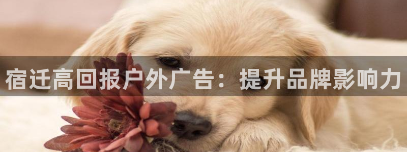 杏宇平台代理多少钱一个月：宿迁高回报户外广告：提升品牌影响力