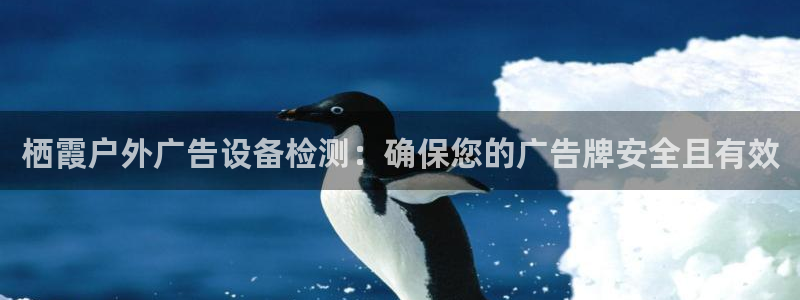 杏宇平台登录步骤图：栖霞户外广告设备检测：确保您的广告牌安全且有效