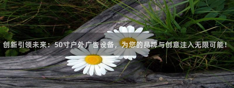 杏宇平台怎么样：创新引领未来：50寸户外广告设备，为您的品牌与创意注入无限可能！