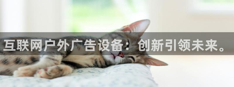 杏宇平台代理怎么样啊：互联网户外广告设备：创新引领未来。