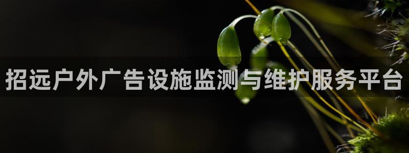 杏宇平台总代理：招远户外广告设施监测与维护服务平台