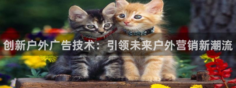 杏宇平台客服：创新户外广告技术：引领未来户外营销新潮流