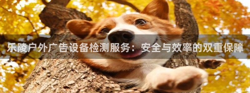杏宇平台是什么：乐陵户外广告设备检测服务：安全与效率的双重保障