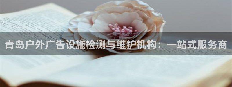 杏宇平台好吗：青岛户外广告设施检测与维护机构：一站式服务商