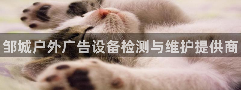 杏宇平台代理怎么赚钱：邹城户外广告设备检测与维护提供商