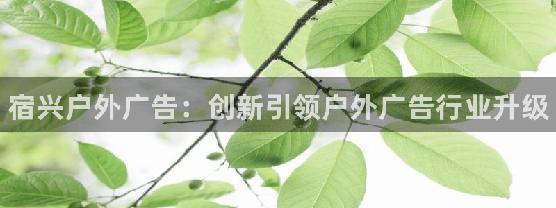 杏宇平台总代理是谁：宿兴户外广告：创新引领户外广告行业升级