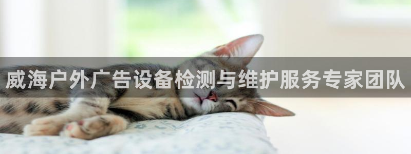 杏宇平台是什么：威海户外广告设备检测与维护服务专家团队