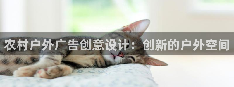 杏宇平台代理多少钱：农村户外广告创意设计：创新的户外空间