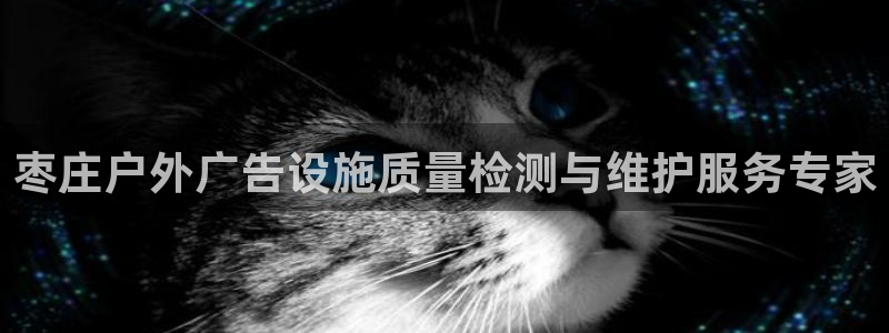 杏宇平台代理多少钱：枣庄户外广告设施质量检测与维护服务专家