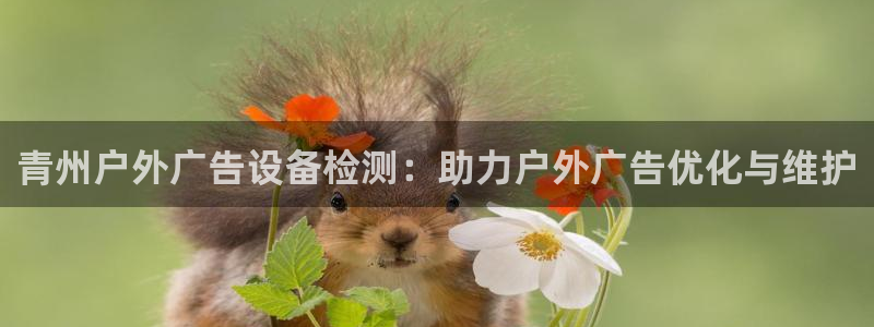 杏宇平台代理怎么样赚钱：青州户外广告设备检测：助力户外广告优化与维护