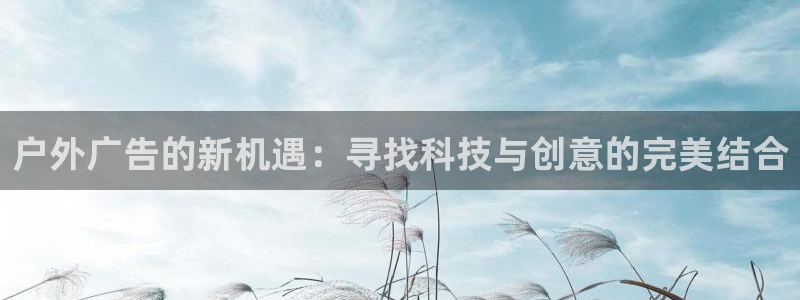杏宇平台招商：户外广告的新机遇：寻找科技