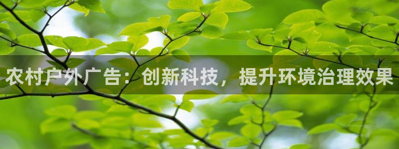 杏宇官方平台官网入口：农村户外广告：创新