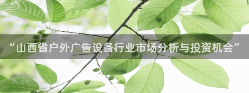 杏宇平台开户：“山西省户外广告设备行业市场分析与投资机会”