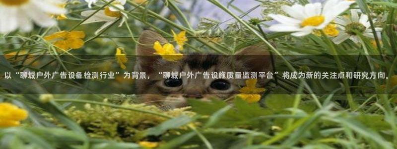 杏宇平台注册登录：以“聊城户外广告设备检测行业”为背景，“聊城户外广告设施质量监测平台”将成为新的关注点和研究方向。
