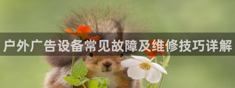 杏宇平台代理怎么样可靠吗：户外广告设备常