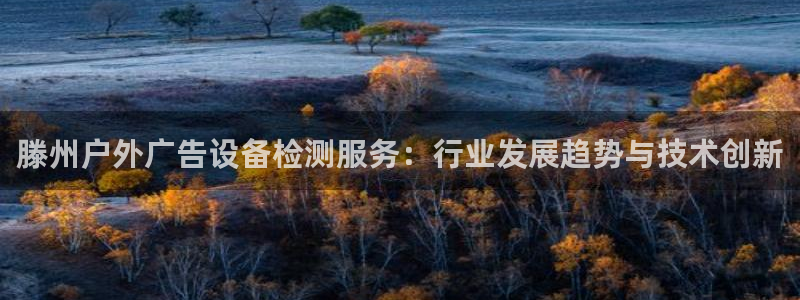 杏宇代理注册：滕州户外广告设备检测服务：行业发展趋势与技术创新