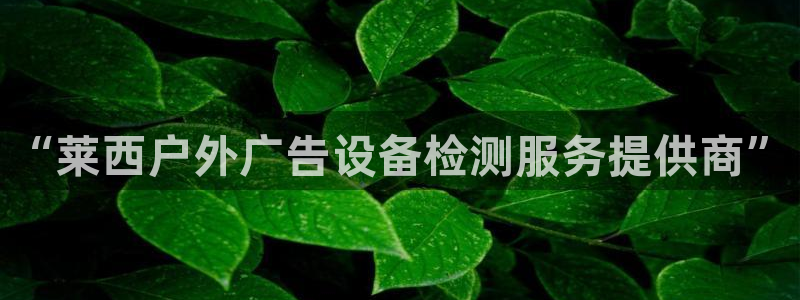 杏宇代理注册：“莱西户外广告设备检测服务提供商”