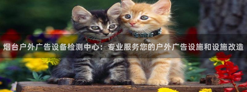 杏宇平台注册登录：烟台户外广告设备检测中