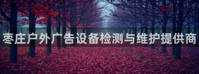 杏宇平台是什么：枣庄户外广告设备检测与维