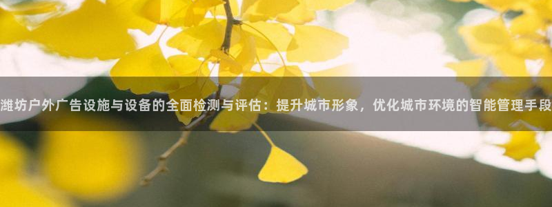 杏宇平台注册登录：潍坊户外广告设施与设备的全面检测与评估：提升城市形象，优化城市环境的智能管理手段