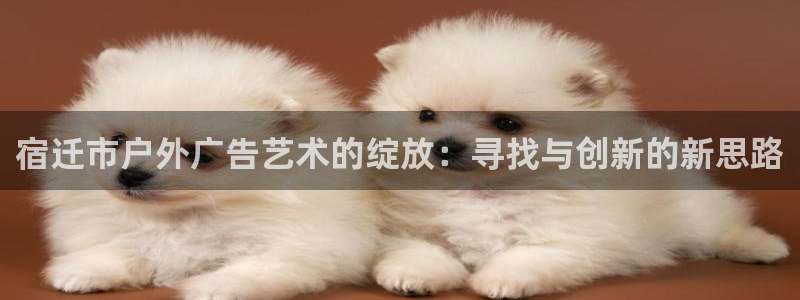 杏宇平台代理：宿迁市户外广告艺术的绽放：