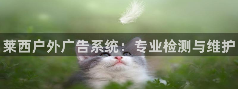 杏宇官方平台官网下载：莱西户外广告系统：专业检测与维护