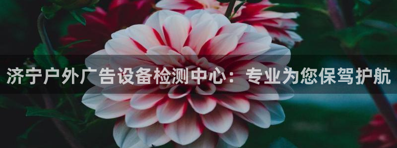 杏宇平台提现为什么这么久呢