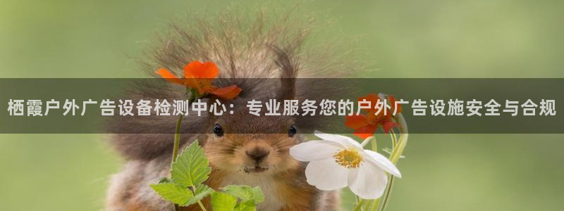 杏宇平台招商怎么样：栖霞户外广告设备检测