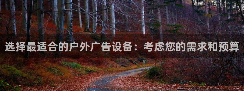 杏宇官方平台官网：选择最适合的户外广告设