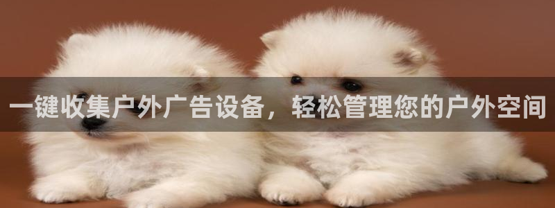杏宇平台开户：一键收集户外广告设备，轻松
