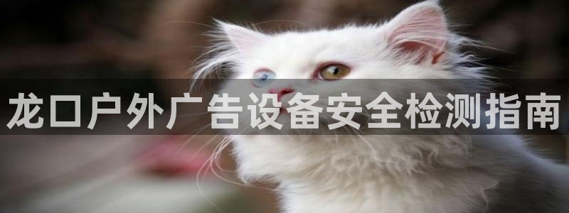 杏宇平台招商怎么样