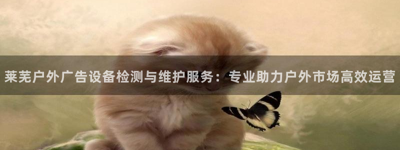 杏宇平台代理怎么样啊：莱芜户外广告设备检测与维护服务：专业助力户外市场高效运营