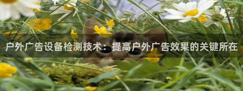 杏宇平台好吗：户外广告设备检测技术：提高户外广告效果的关键所在