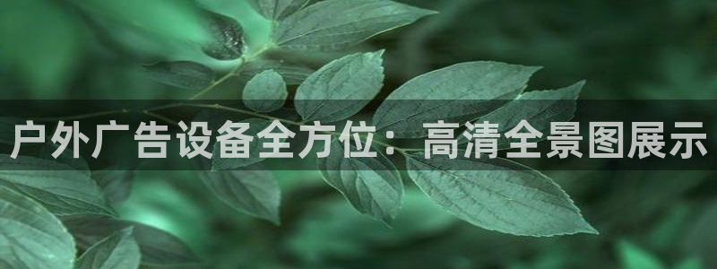 杏宇平台招商：户外广告设备全方位：高清全景图展示