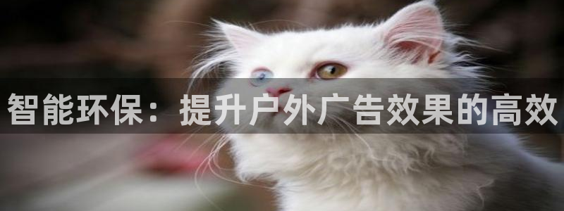 杏宇平台注册地址：智能环保：提升户外广告效果的高效