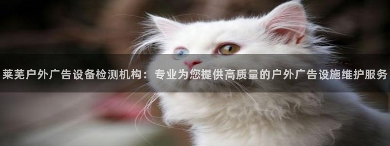 杏宇平台提现为什么这么久呢：莱芜户外广告设备检测机构：专业为您提供高质量的户外广告设施维护服务