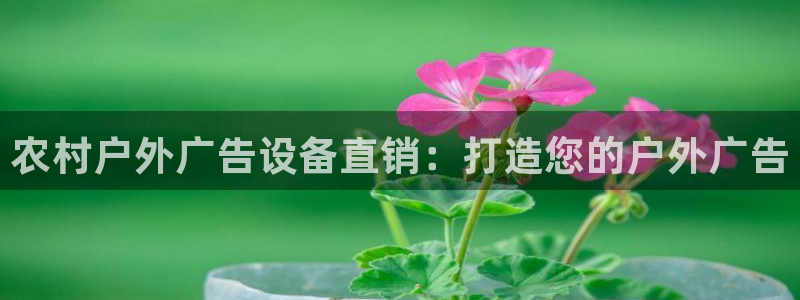 杏宇平台代理多少钱：农村户外广告设备直销：打造您的户外广告