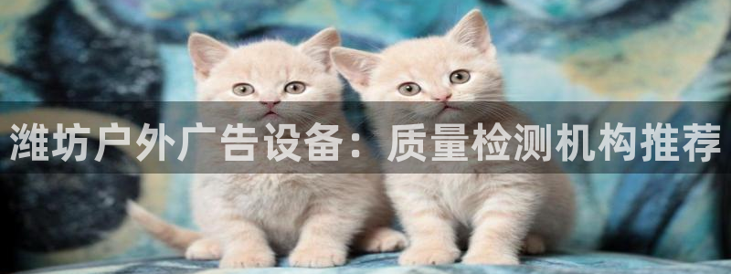 杏宇平台代理怎么赚钱快