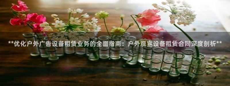 杏宇平台代理多少钱：**优化户外广告设备租赁业务的全面指南：户外观宣设备租赁合同深度剖析**