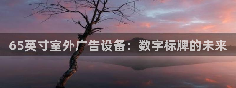 杏宇平台注册地址在哪里：65英寸室外广告设备：数字标牌的未来