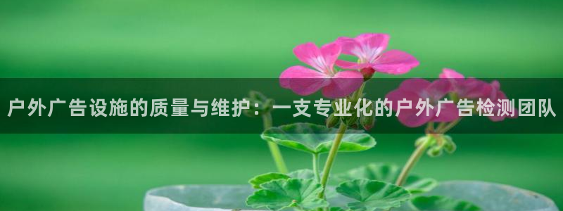 杏宇平台测速链接：户外广告设施的质量与维护：一支专业化的户外广告检测团队